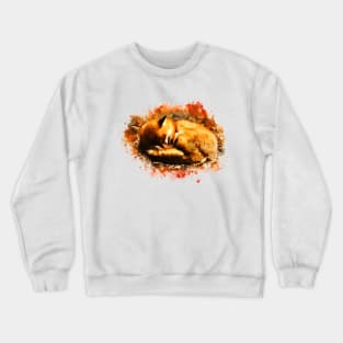 Sleeping Fox Crewneck Sweatshirt